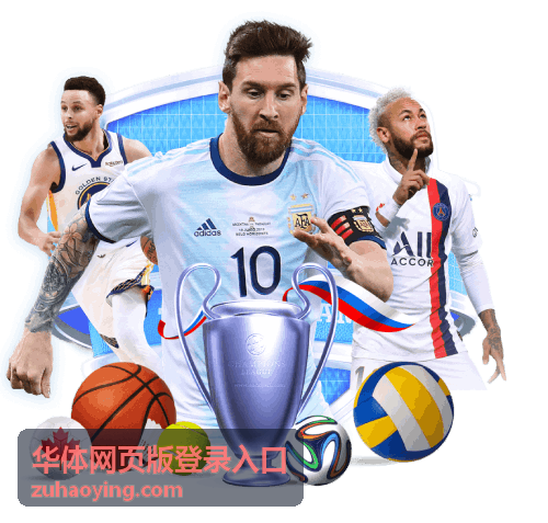 华体网页版登录入口团队数据核对场景